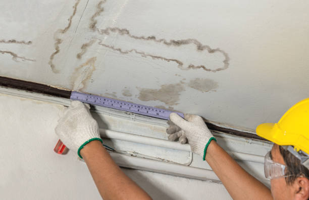 Reliable Structural Drying contractor in Ovid, MI by Hirex Water Damage